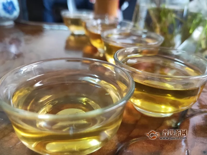 2019年兴海茶业锦绣山河生茶试用评测：适口好刺激低，第一次尝试两次多维度品饮