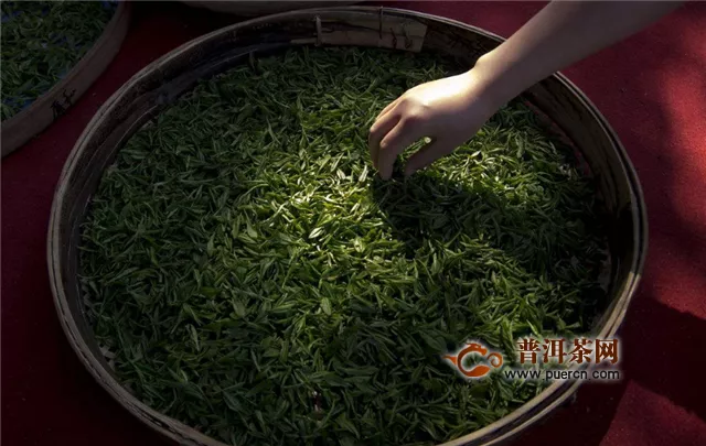 烘青绿茶工艺制作过程
