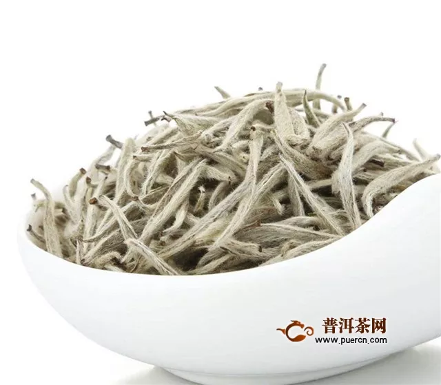 福鼎白茶和政和白茶的茶树是有区别的