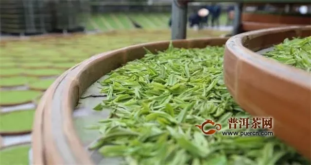 国家对福鼎白茶的制作工艺有什么要求？