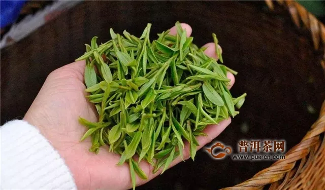 西湖龍井茶有幾個(gè)品種？主要有3個(gè)！