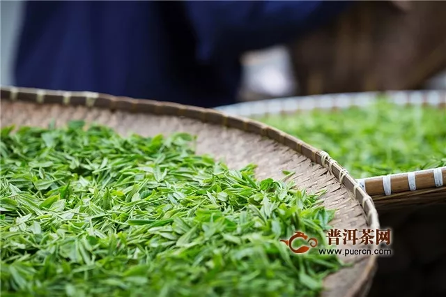 西湖龍井是紅茶還是綠茶？綠茶！