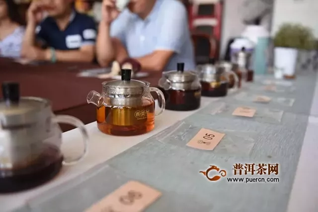 川茶云茶對沖，五款小青柑盲評，好喝的標(biāo)準(zhǔn)你get了嗎？｜吉普號夏至沙龍回顧