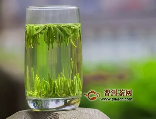 紫阳富晒茶功效与作用