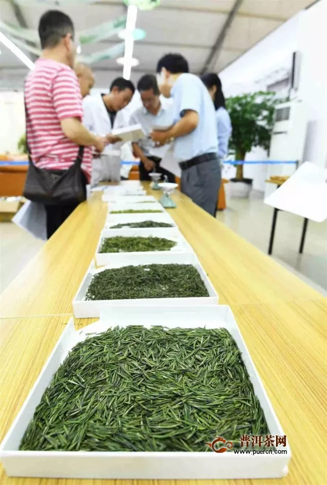 64家茶企在2019“贵州绿茶杯”斗茶大赛上一决高下！