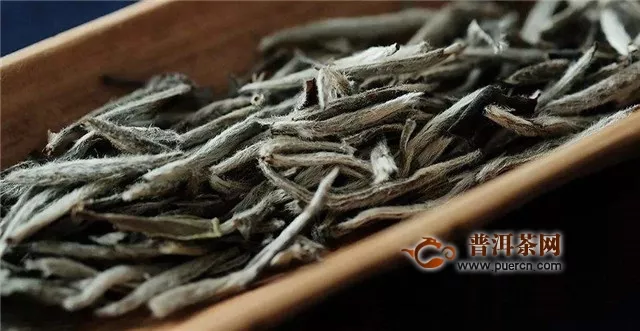 白茶属于发酵茶的哪个阶段？