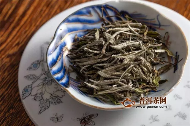 白茶属于发酵茶的哪个阶段？