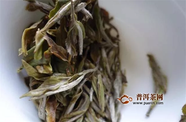 福建白茶屬于什么茶？