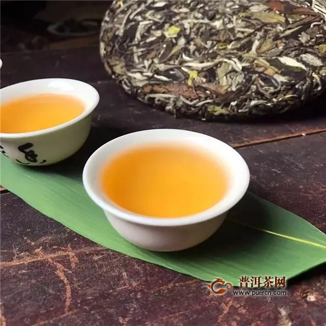 新白茶怎么冲泡和品尝比较好？