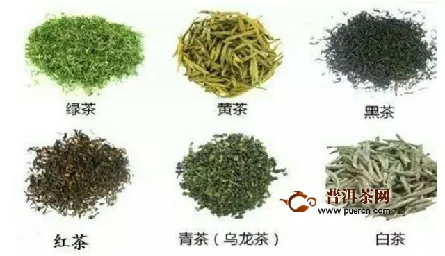 白茶属于哪种茶？