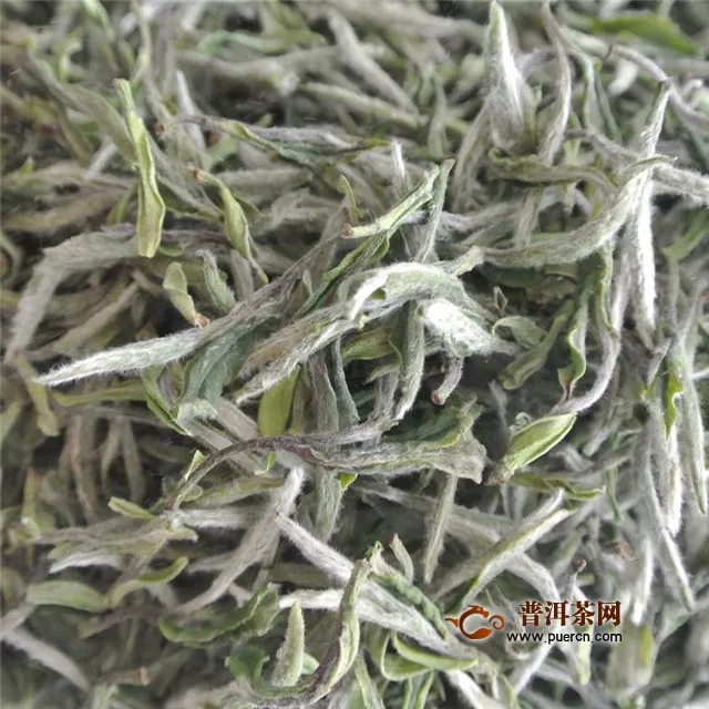 新白茶散茶需要具備什么樣的品質(zhì)特征