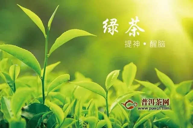 紅茶與綠茶的加工工藝區(qū)別極大