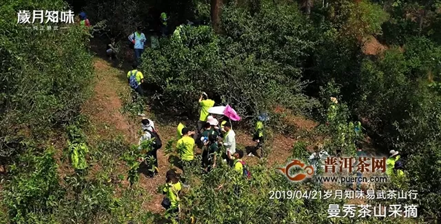 2019年歲月知味致敬易武·復(fù)興之光茶山行活動(dòng)