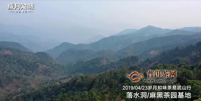 2019年歲月知味致敬易武·復(fù)興之光茶山行活動(dòng)