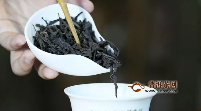 泡烏龍茶茶步驟，