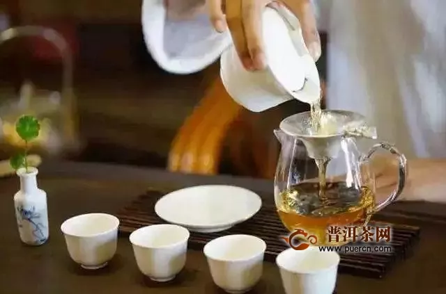 教你黑茶的正確喝法