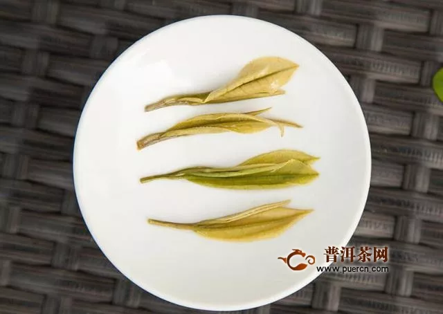 黃金芽茶葉怎么泡？