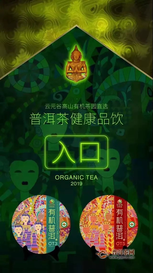 云元谷  2019年有机生茶  OT3
