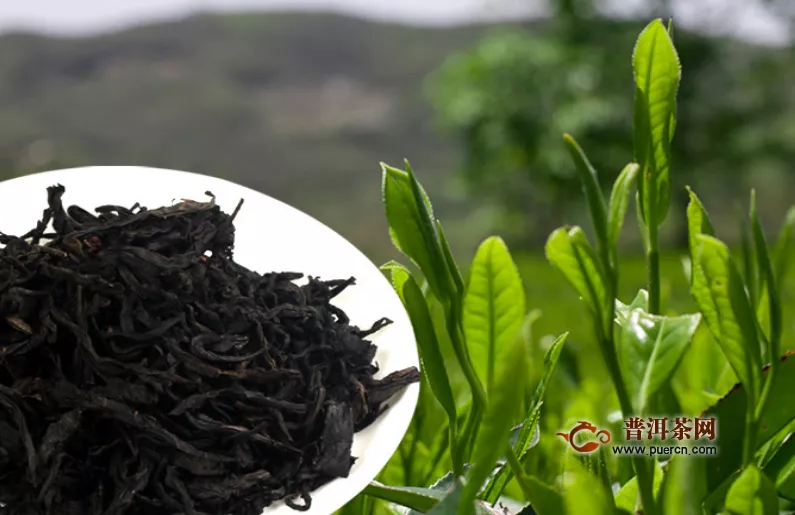 黑茶为什么叫黑茶，简述黑茶名字的由来！