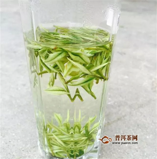 安吉白茶是绿茶吗？