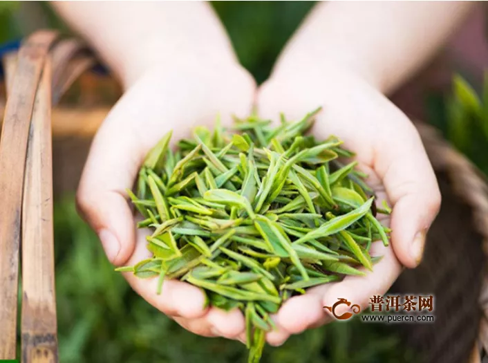 夏天喝绿茶能减肥吗？喝绿茶有哪些好处？