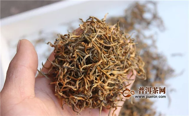云南滇红茶是什么茶？
