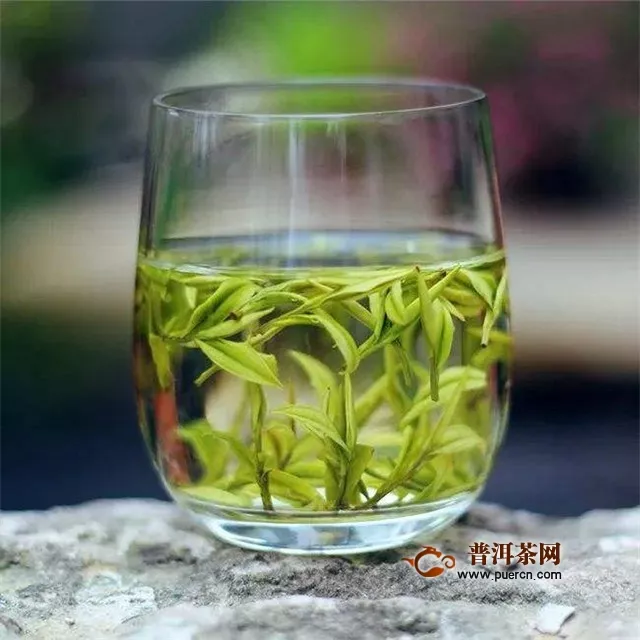 安吉白茶、绿茶和白茶的品质特征证明安吉白茶是绿茶