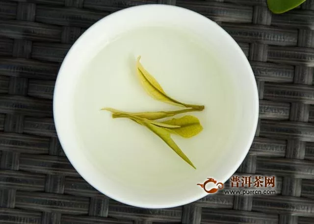 安吉白茶寒涼嗎？安吉白茶——涼性茶葉！