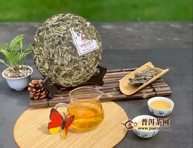 中茶2019年白茶蝴蝶白金号上市！