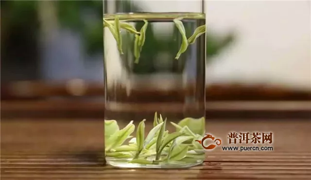 安吉白茶和福鼎白茶哪個(gè)好