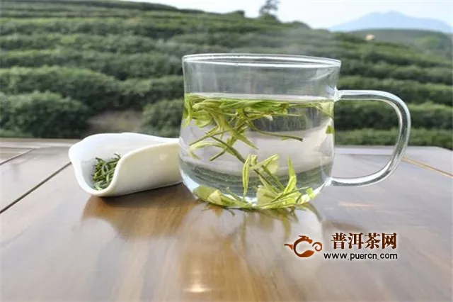 安吉白茶和福鼎白茶哪個(gè)好