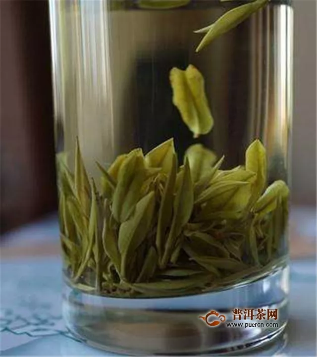 安吉白茶和福鼎白茶的品质特点的区别