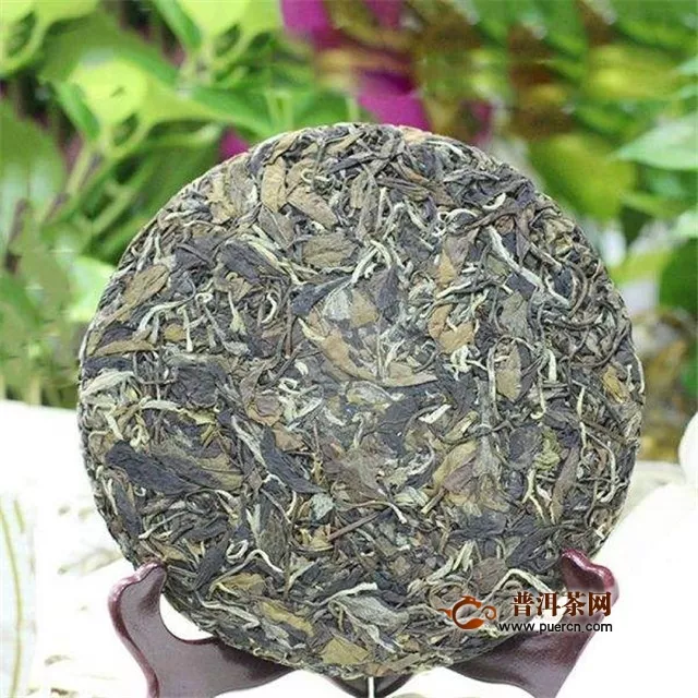 安吉白茶和福鼎白茶的品种的区别