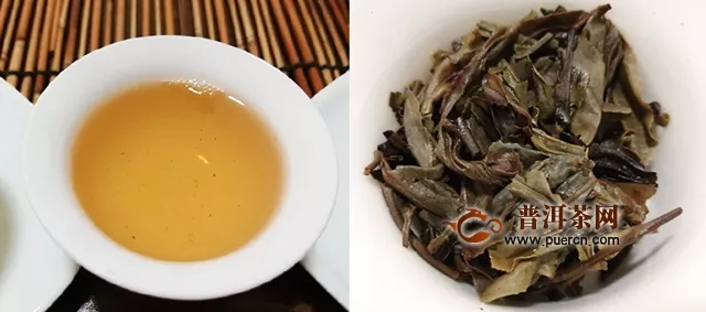 2015年飛臺(tái)飛臺(tái)金芽沱茶生茶試用報(bào)告