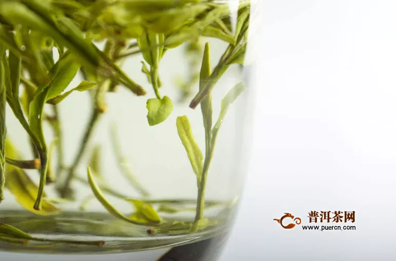 夏天喝綠茶能減肥嗎？夏天喝綠茶不止減肥！