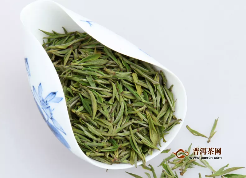 夏天喝綠茶能減肥嗎？夏天喝綠茶不止減肥！