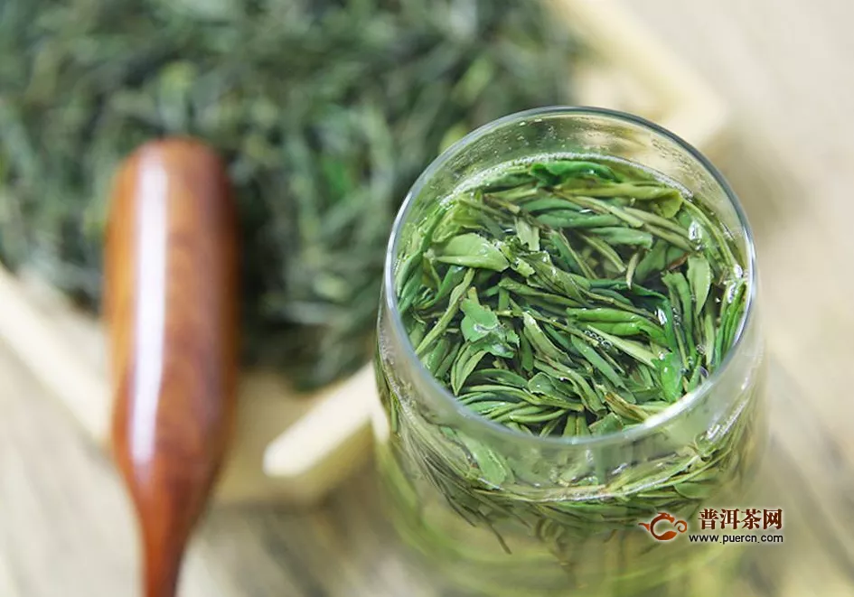哪种人不适合喝绿茶？你知道吗？