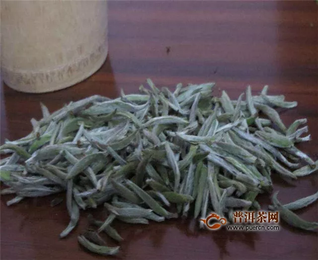 福鼎大白茶和大豪茶的茶树是有区别的