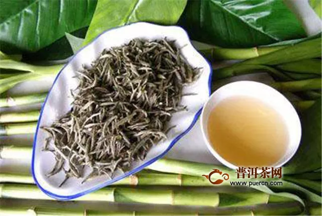 福鼎大白茶和大豪茶的茶樹是有區(qū)別的