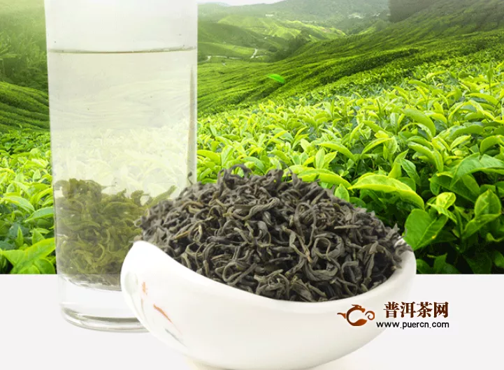 泡绿茶可以减肥吗？是的，喝绿茶减肥！