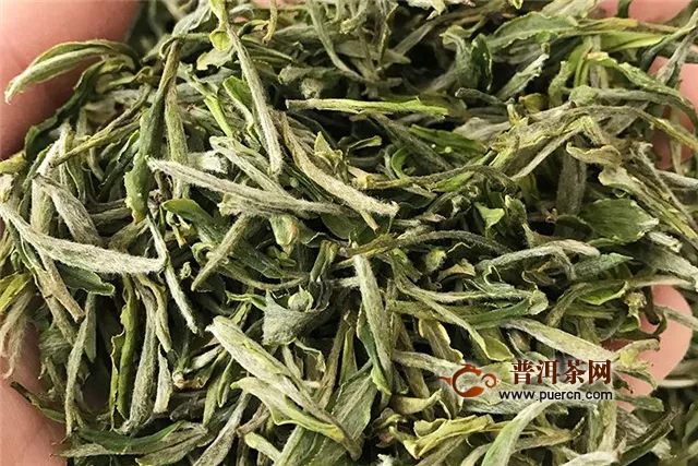 五指山綠茶和白沙綠茶的重點知識