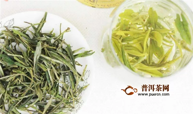 五指山綠茶和白沙綠茶的重點知識