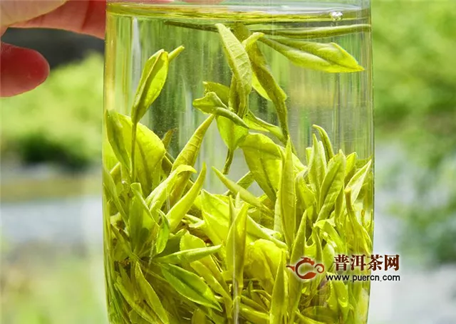 云霧綠茶和碧螺春中的云霧綠茶指的是什么