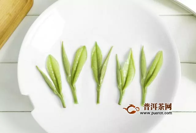 绿茶每天喝能减肥吗？适量饮用可以减肥！