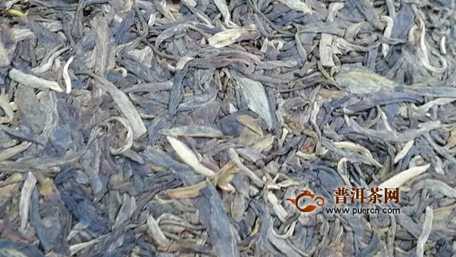 2015年天弘太平盛世生茶评测报告