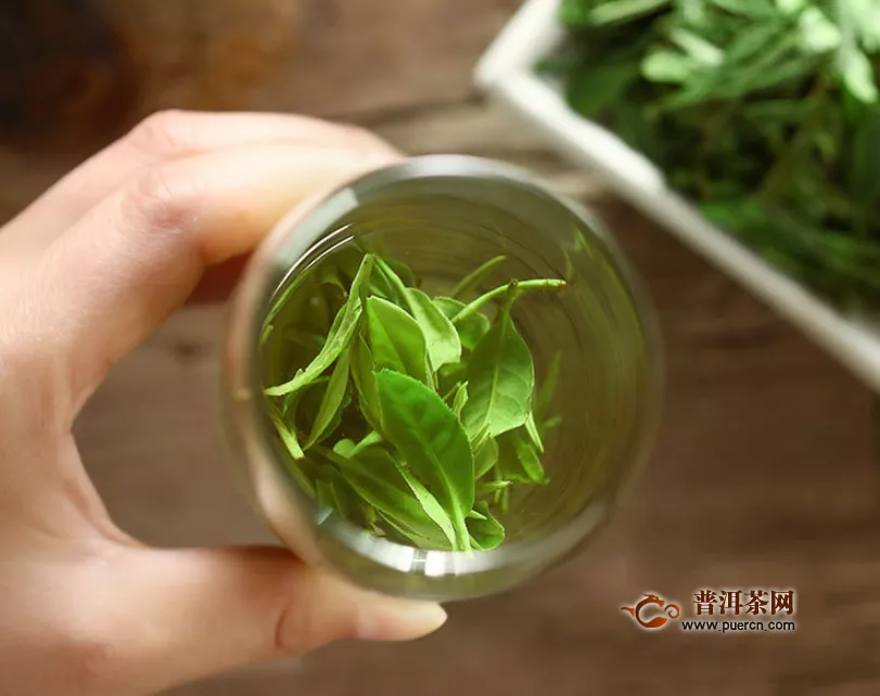 绿茶有什么味道？绿茶的味道——滋味鲜爽！