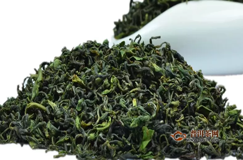 崂山绿茶采摘季节，崂山绿茶的采摘要求详解！