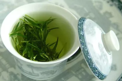 喝泡的绿茶有什么功效？绿茶如何冲泡？