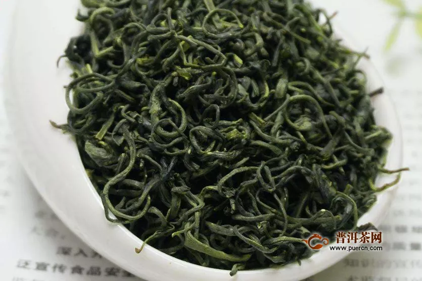 各种绿茶样子？不同绿茶的特征简介