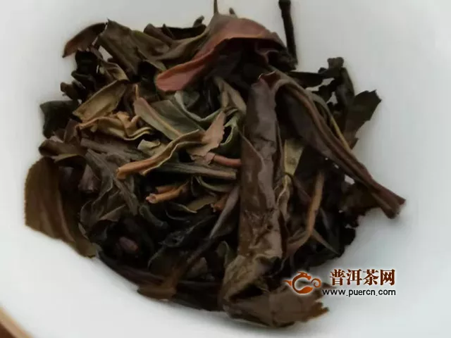 2012年下关沱茶 生态老树沱 生茶试用评测报告